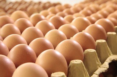 益阳鸡蛋检测价格,鸡蛋检测机构,鸡蛋检测项目,鸡蛋常规检测
